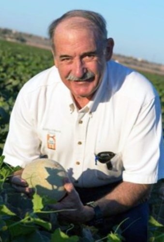 photo of man smiling in a melon field