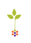 seed growing icon