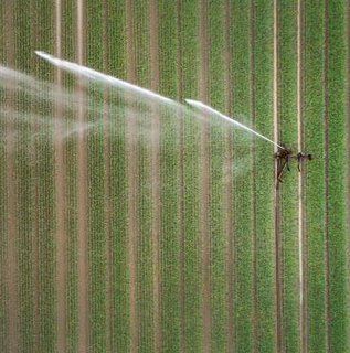 Image for twitter card