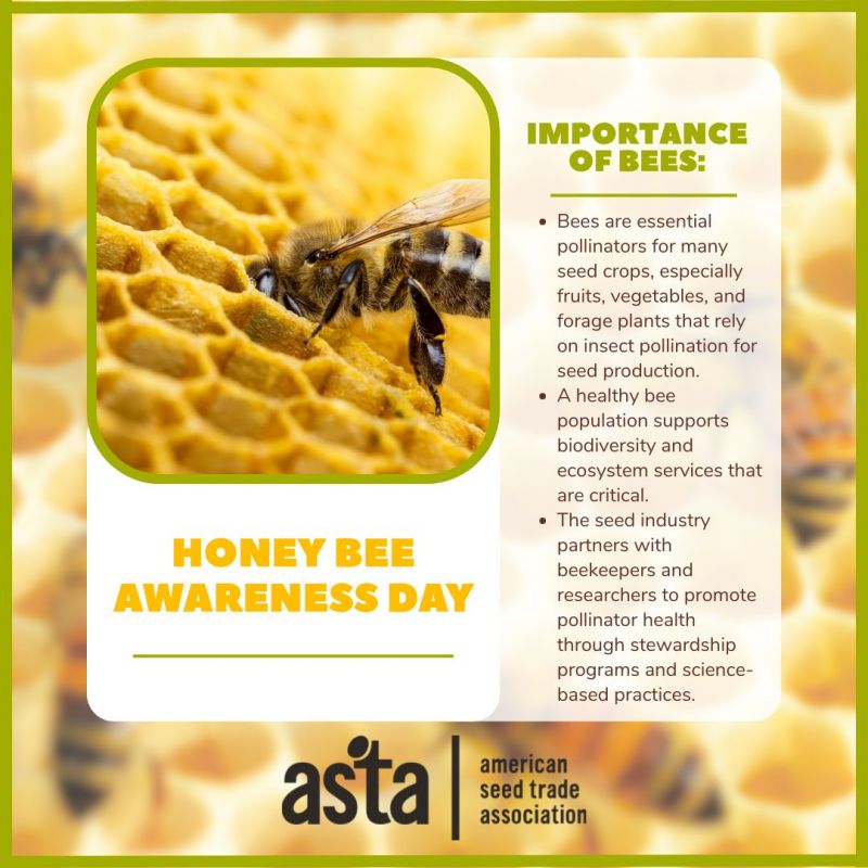 Image for the Tweet beginning: Bees play an important role
