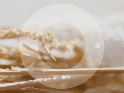 Image for twitter card