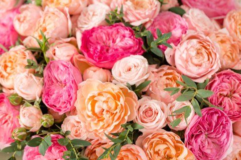 Image for twitter card