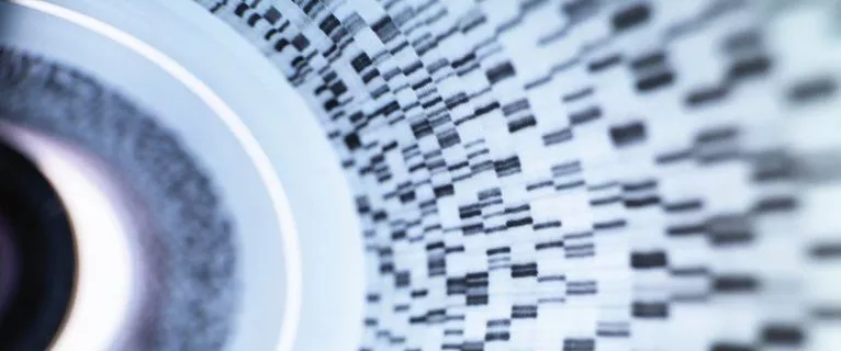 Image for twitter card