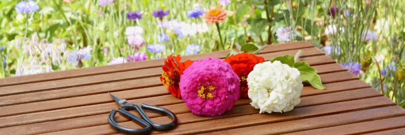 Image for twitter card