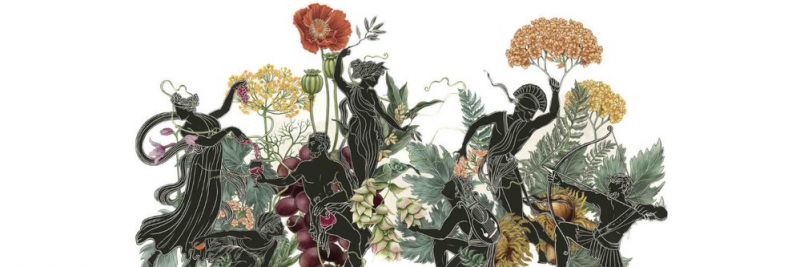 Image for twitter card