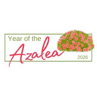 Image for twitter card