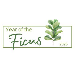 Image for twitter card